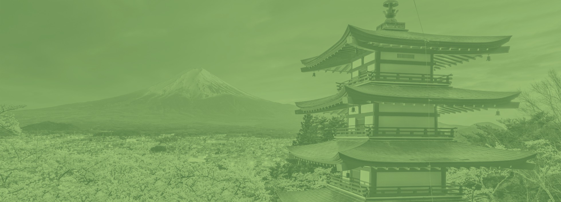 Japan, the origin of Matchi's single-origin ceremonial matcha